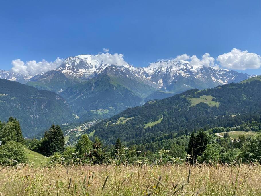 Le Grand Panorama - With Garden & View Apartment *